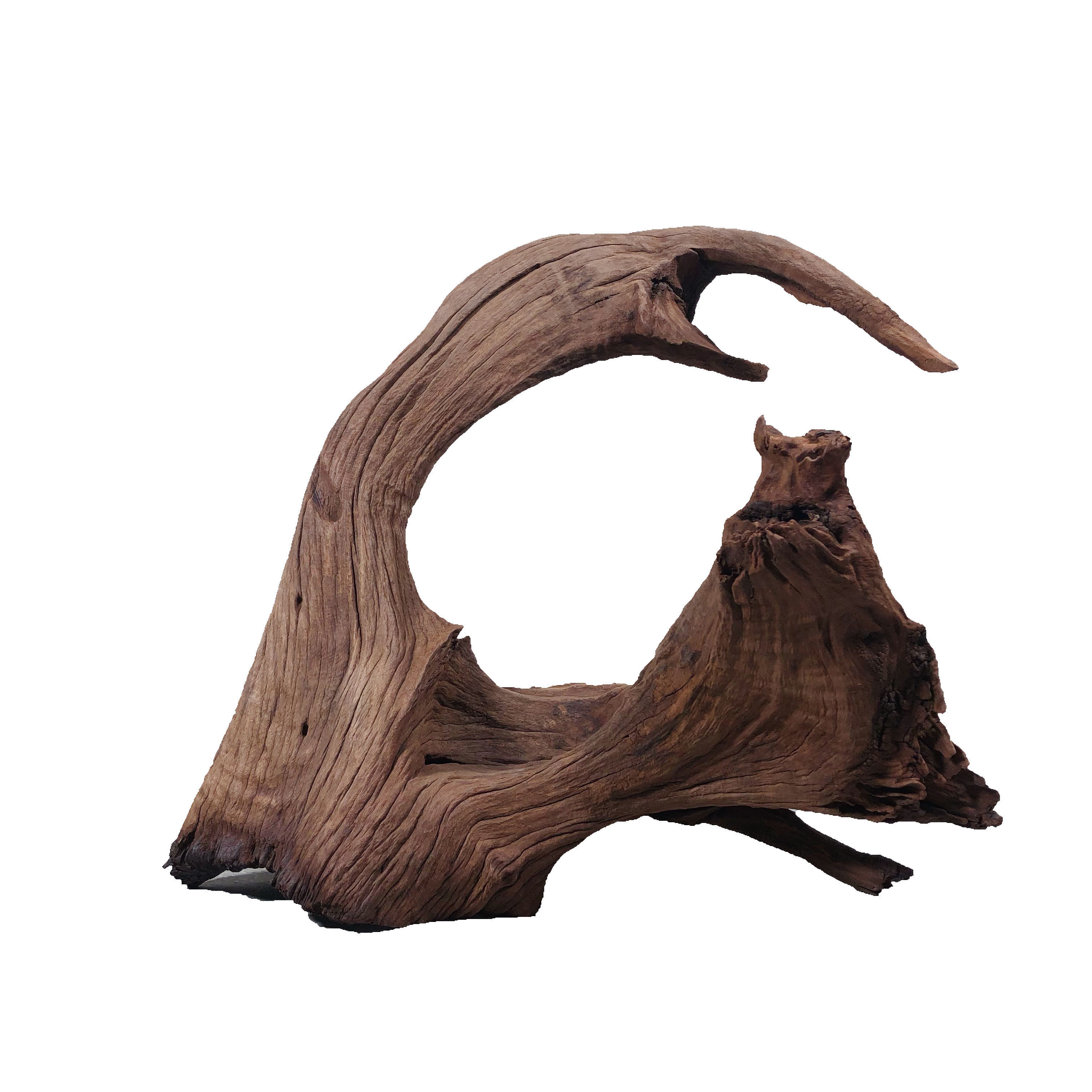 1米以上尺寸精品天然沉木紫柚拱桥大型南美造景