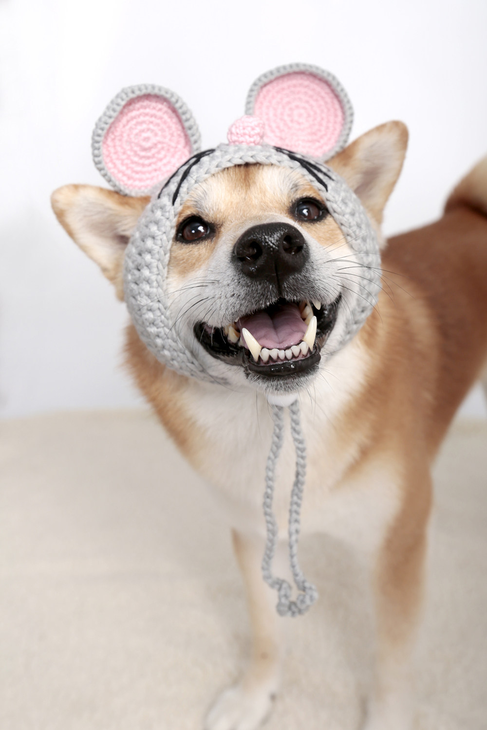 宠物帽子宝眷unpet新款老鼠鼠年亲宠儿童狗狗帽子