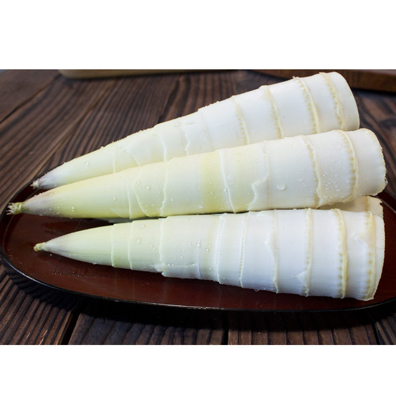 临安春笋新鲜现挖竹笋冬笋雷笋天目山鲜笋农家竹笋