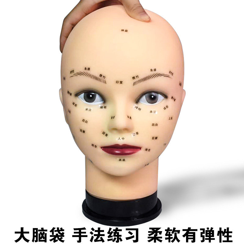 美容练习头模脸部按摩人头模型模特头具美容院其它假发