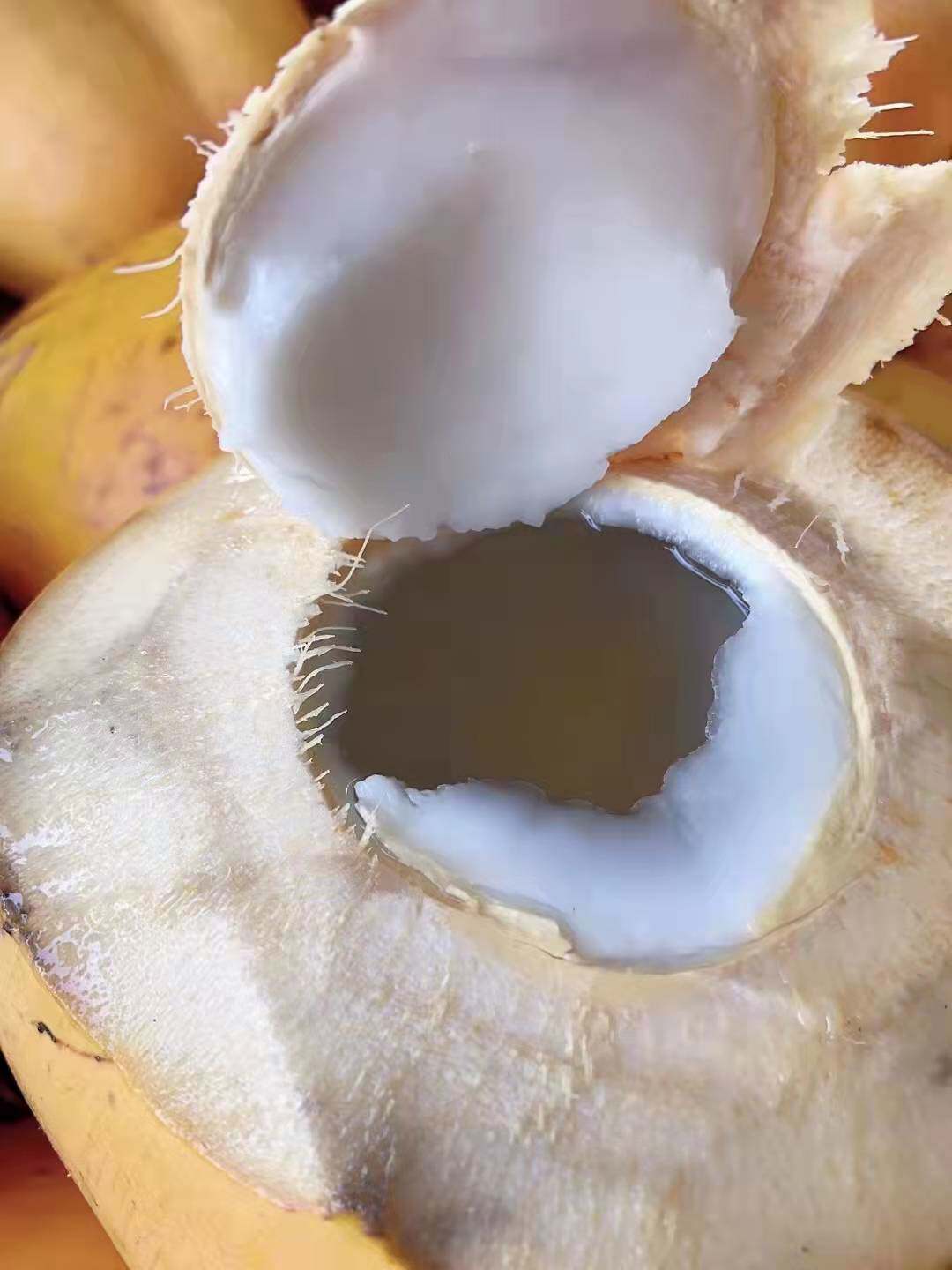 海南新鲜黄金椰子9个装带皮椰青红孕妇羊水椰青