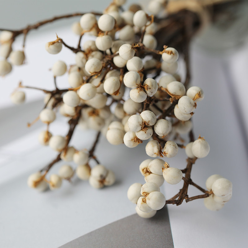 干花飞鱼手作白果6g装饰花果花果树树枝真花蜡烛