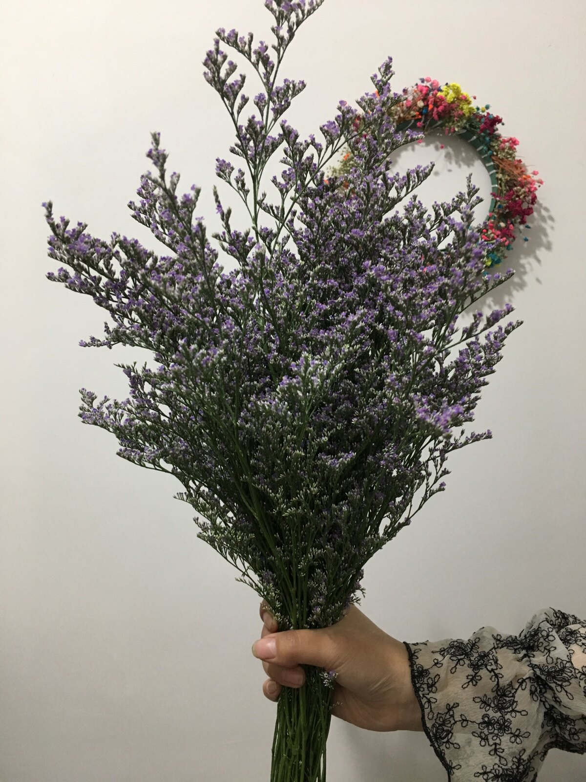 鲜花黄莺草配草10支/扎花农种植手工制作干花直销鲜切花搭配花草