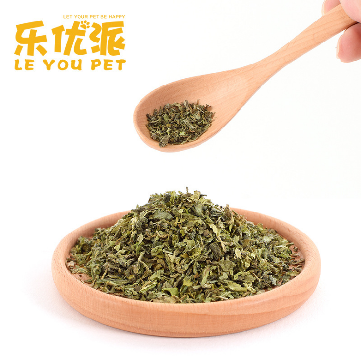 猫薄荷排除去毛球清洁口腔猫咪薄荷草粉促进消化猫草猫零食