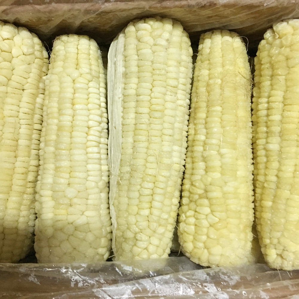 2020年冷冻40根整箱玉米棒微甜粘糯新玉米玉米