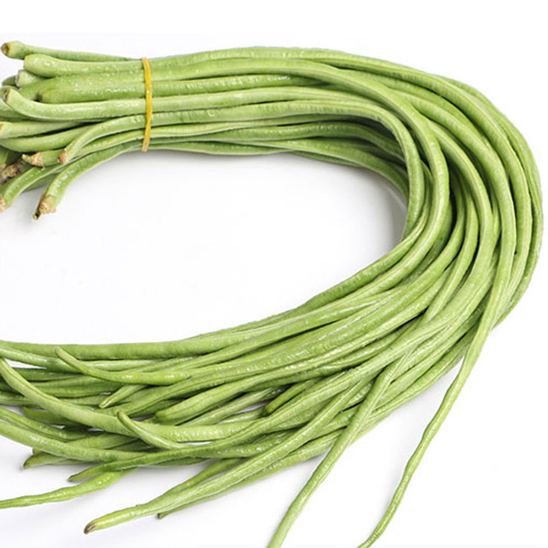 特长豇豆种籽白条豆角籽种高产江豆春夏秋季播蔬家庭园艺种子