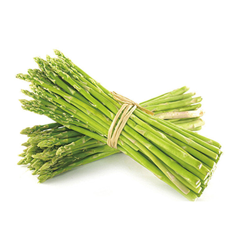 进口绿芦笋种子 白色紫色 石刁柏 春季四季播蔬菜籽 多年生植物