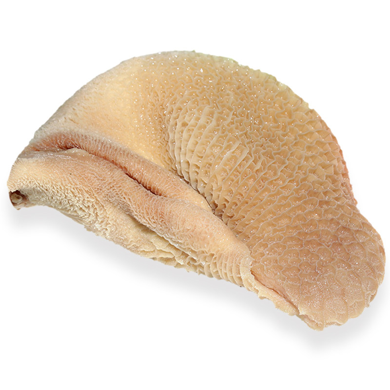 毛肚火锅内蒙古羊杂动物内脏土黄牛肉生鲜生牛肚可切牛肚丝 1kg