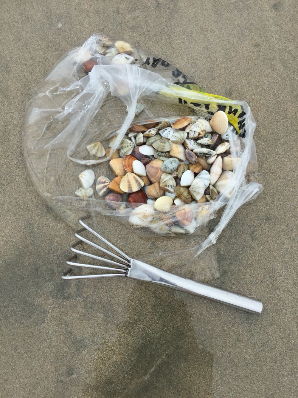 工具赶海海边沙滩筢抓螃蟹不锈钢铲子挖蛤套装耙子