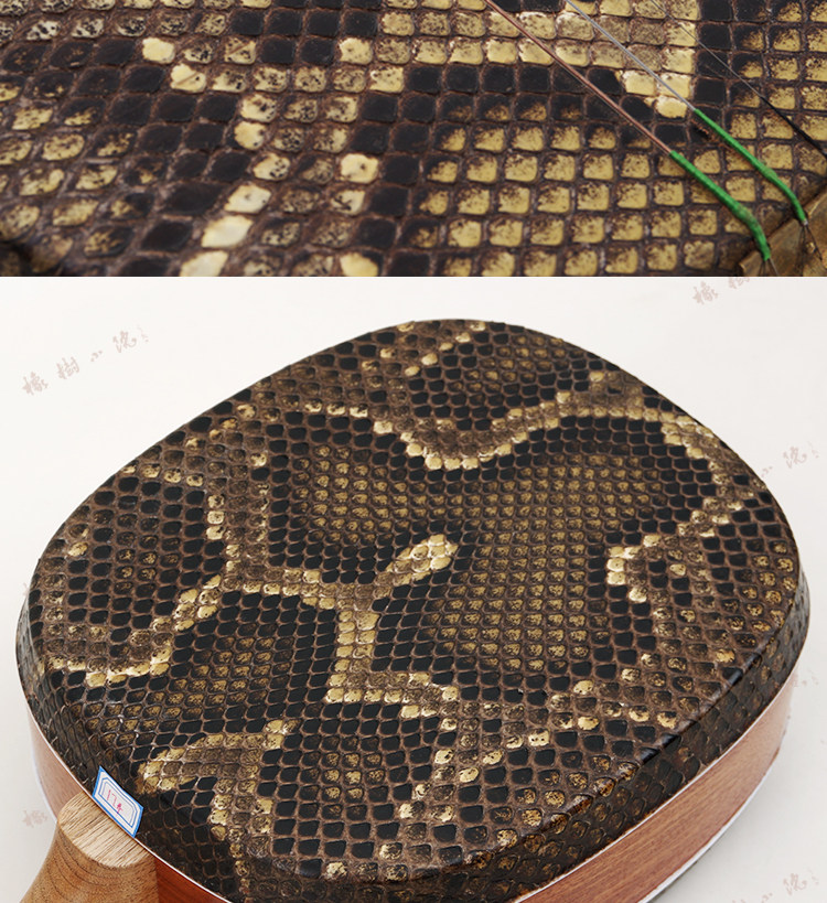 宋广宁花梨乌木指板大三三弦乐团店长推荐独奏三弦