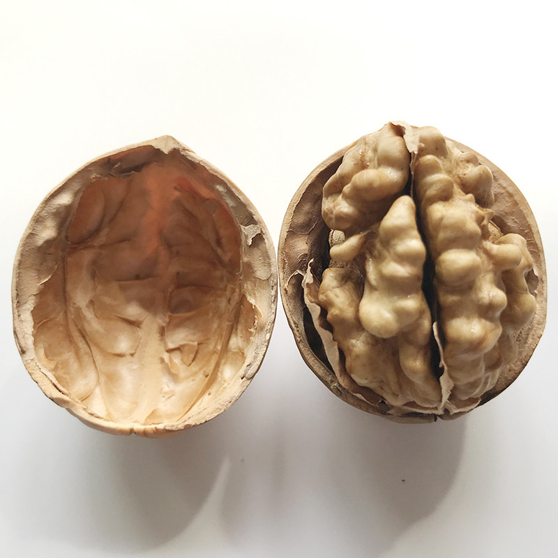 新货陕西商洛纸皮核桃薄皮原味孕妇核桃大一级薄壳核桃5斤装散装