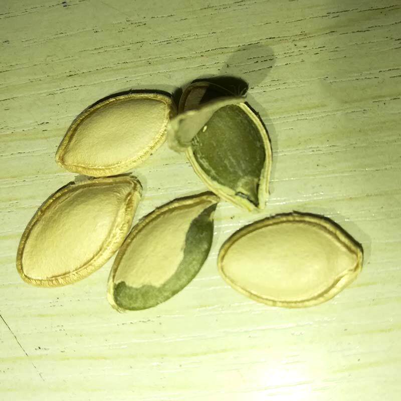 瓜子南瓜子生的新货5斤装南瓜籽香味巨型特大瓜子