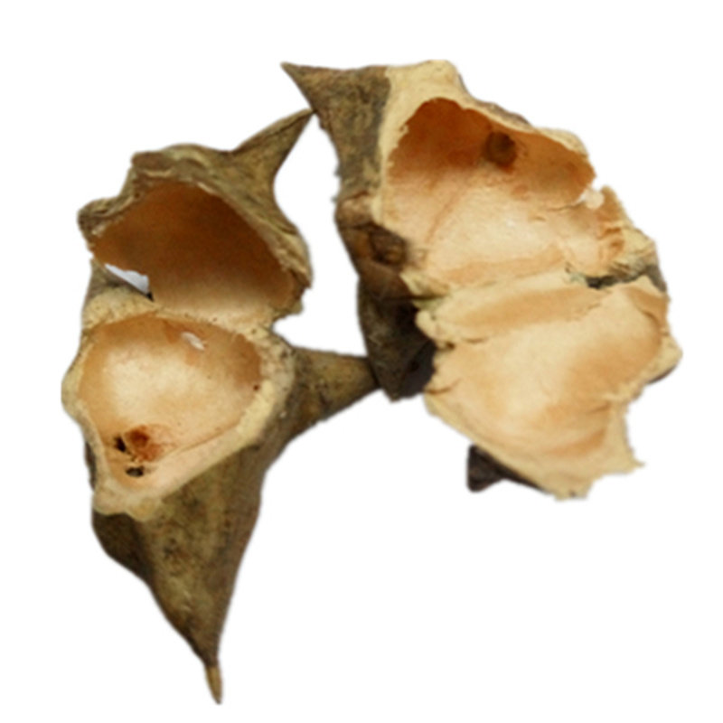 菱角四角新鲜微山湖野生壳干蒂老其它干货