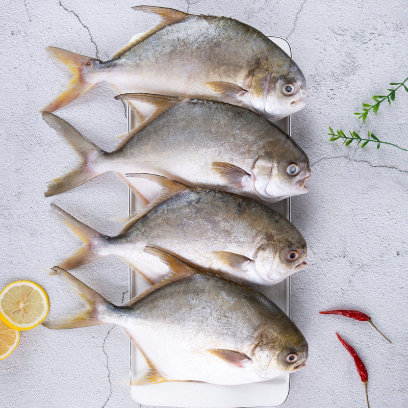 鲳鱼金鲳鱼昌鱼包邮海鱼无刺冰冻大条深海海金鲳鱼