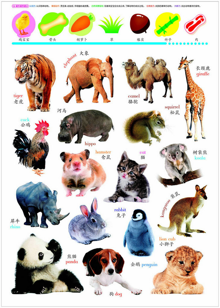 宝宝看图识字拼音认知有声挂图全套幼儿儿童玩具挂图