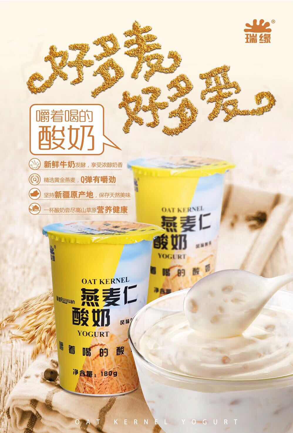 酸奶网红红瑞燕麦新疆瑞源早餐特产谷物酸奶