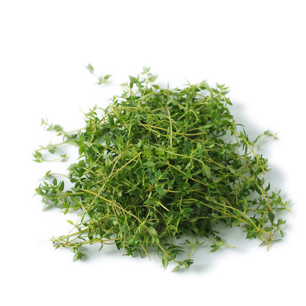 新鲜香料 新鲜百里香 西餐香料 thyme 百里香香叶 100g 同城配送