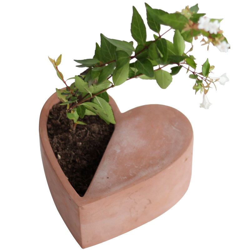 心形个性创意多肉绿植盆栽水泥花盆
