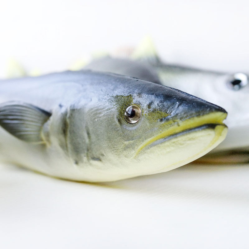 高仿淡水鱼海鱼 多宝鱼草鱼鲢鱼 lmdec仿真蔬果假鱼肉橱柜装 饰品