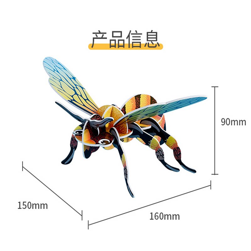 昆虫模型蝴蝶蚂蚁儿童科学实验玩具小学生科教教具科学实验