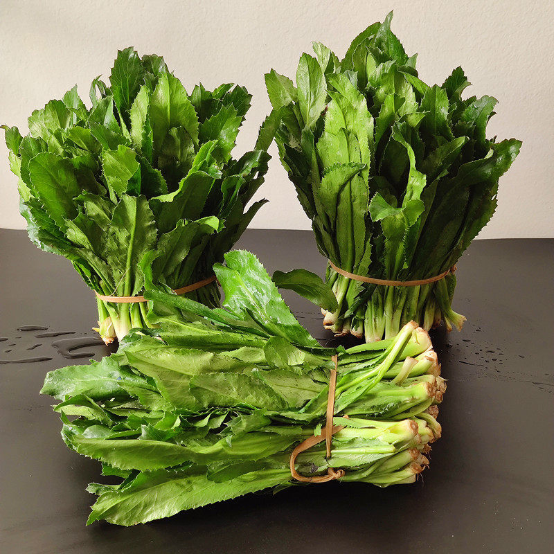 云南新鲜老缅芫荽3斤香菜现摘刺芫荽刺野菜其它