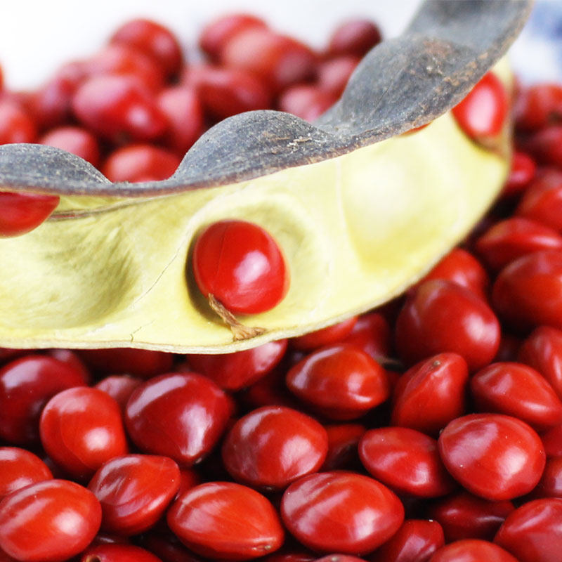 情侣礼物天然红豆相思豆散珠菩提子diy手链饰品配件本命年吉祥红