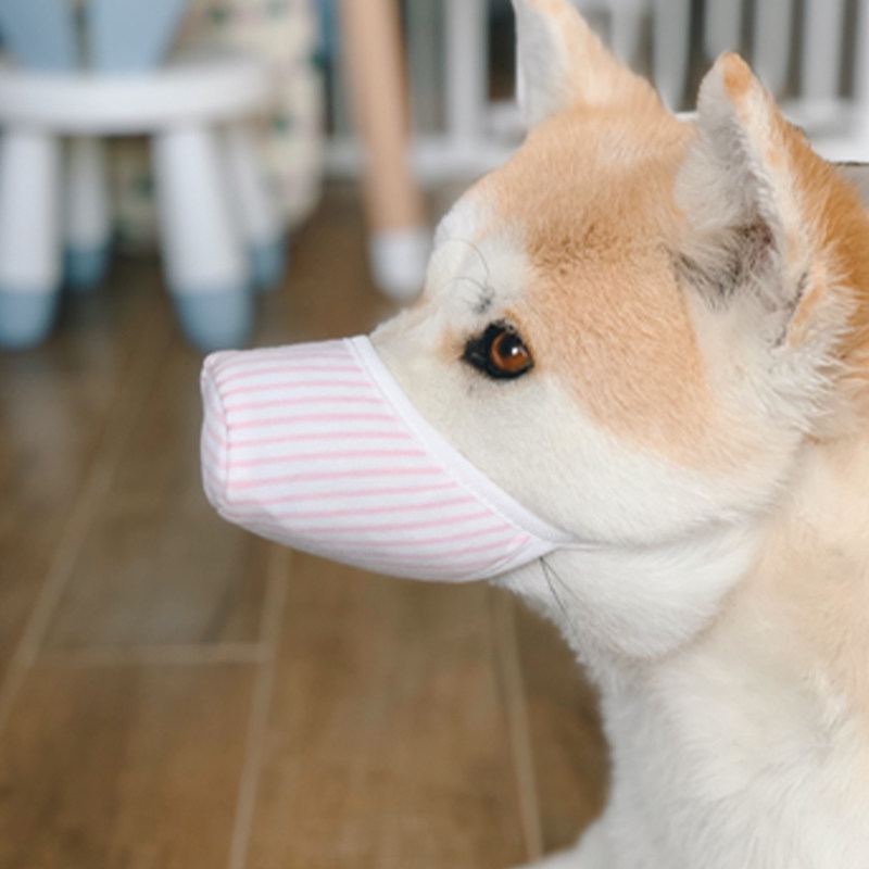 口罩狗狗宠物面罩狗用外出三层无纺布水洗中小型嘴套