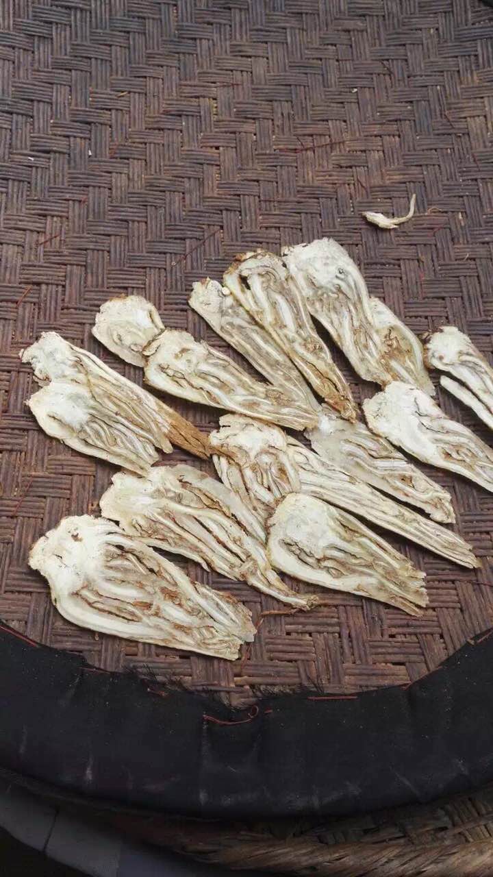 全当归片 2斤包邮 当归头片全归片当归大片 甘肃岷县中药材500g克