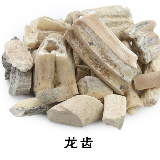 龙齿个2斤包邮青龙齿白龙齿龙齿块龙齿化石500g克中草药材