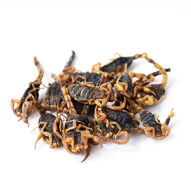 清水全蝎无肚干货蝎子干钳蝎子全虫中药材100g克包邮