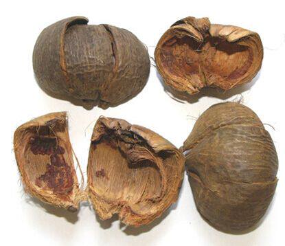 大腹皮 5斤包邮 槟榔皮 大腹毛 槟榔壳 500g克 中药材初级农产品