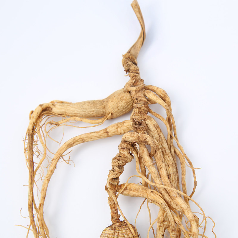 阳参特大野山稀有精参单支重量40克以上灵参山参