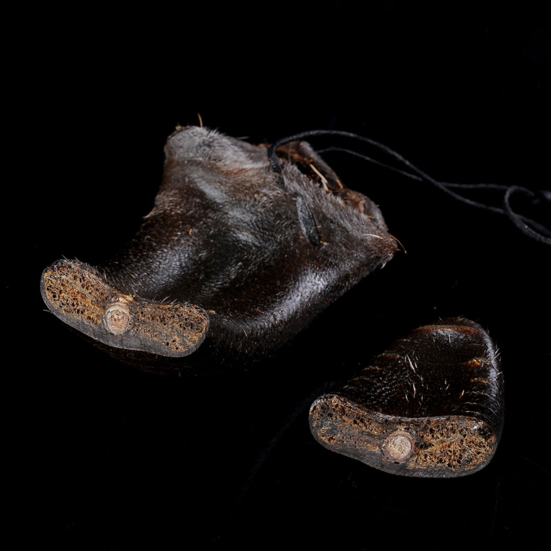 吉林梅花鹿鹿尾巴整只可切片配人参鹿鞭泡酒干鹿尾礼盒37克支