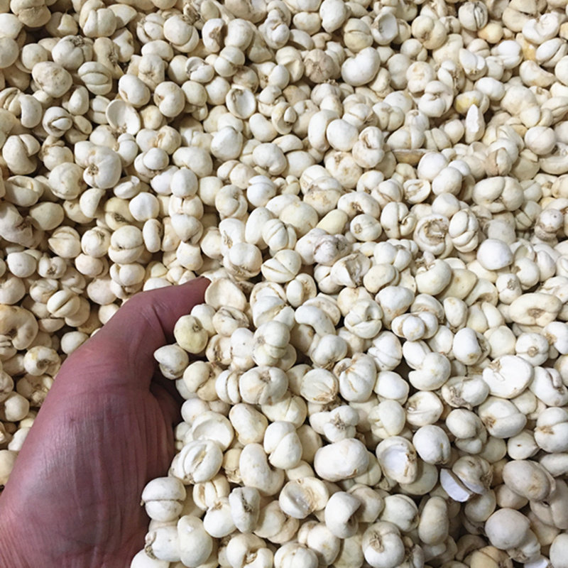 贝母正品西藏中药尖贝味苦药材250g118元包川贝