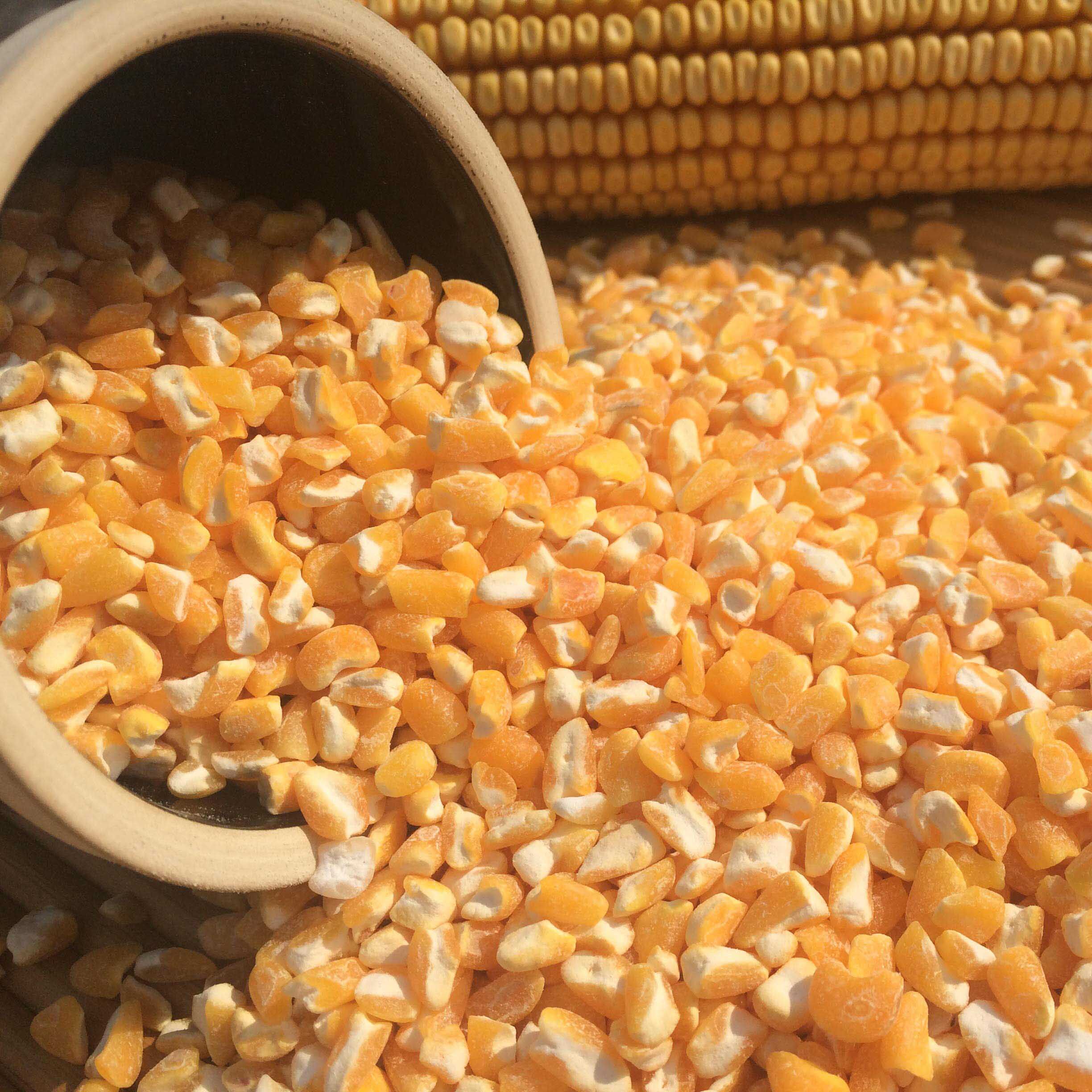 农家现磨大碴子 玉米碴子500g 大碴粥 苞米大碴子五谷杂粮 粗粮