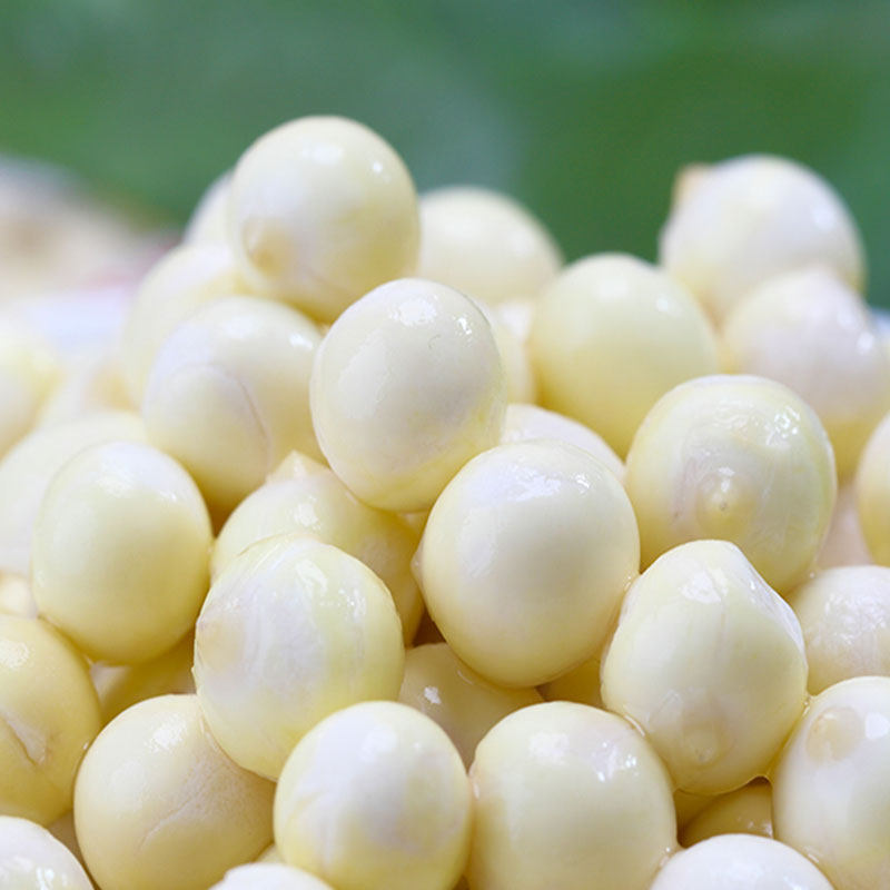 芡实新鲜鸡头米茨实米2019苏州500g*2新货欠实特级果野生非干货