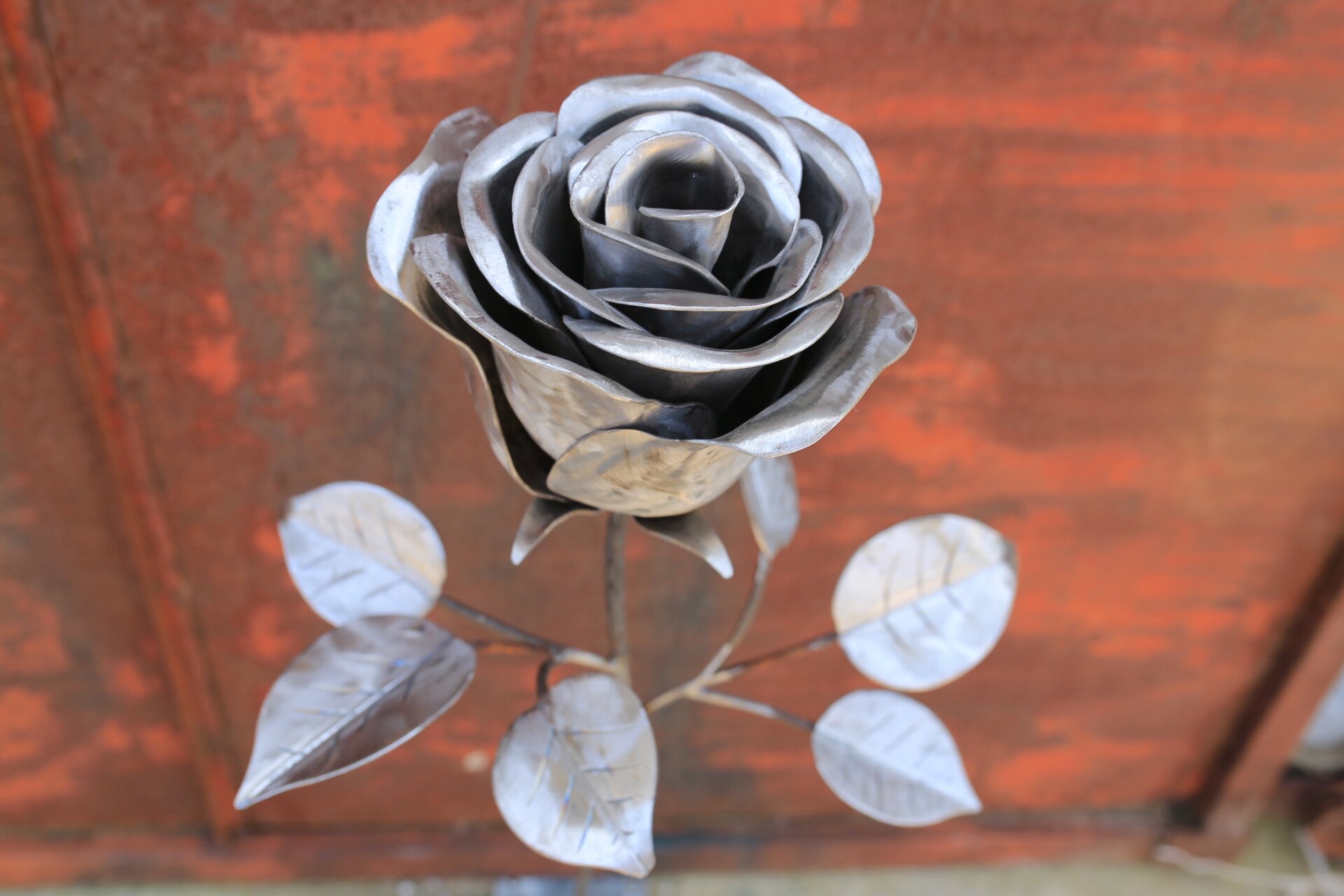 原创手工铁艺玫瑰玫瑰花花园装饰花朵庭院装饰品其它园艺用品