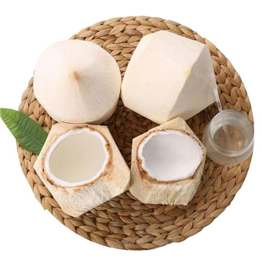 椰青海南6个装大当季现摘新鲜椰子孕妇羊水菠萝蜜