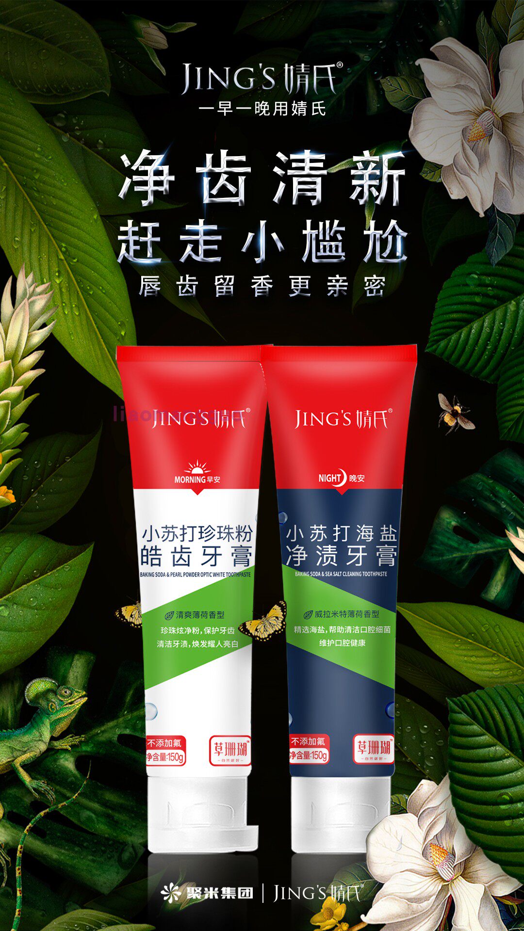 婧氏靖氏倩氏草珊瑚小苏打海盐净渍美白早晚牙膏牙膏
