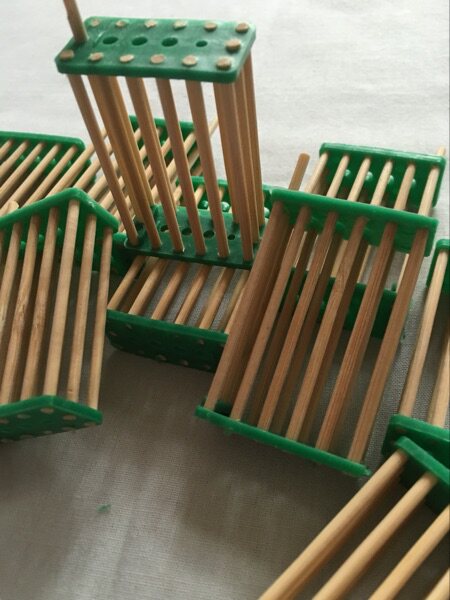 竹制中蜂王笼竹子囚王笼 蜂王笼囚王介 养蜜蜂专用 防蜂王逃跑