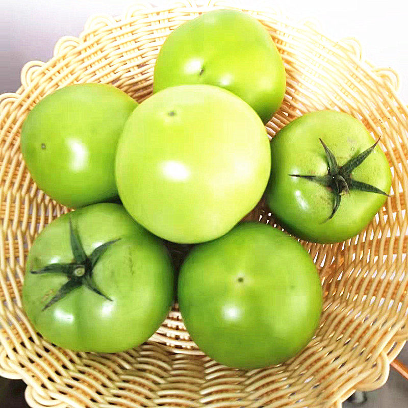西红柿青番茄新鲜绿鲜绿5斤未成熟现摘柿子孕妇番茄番茄