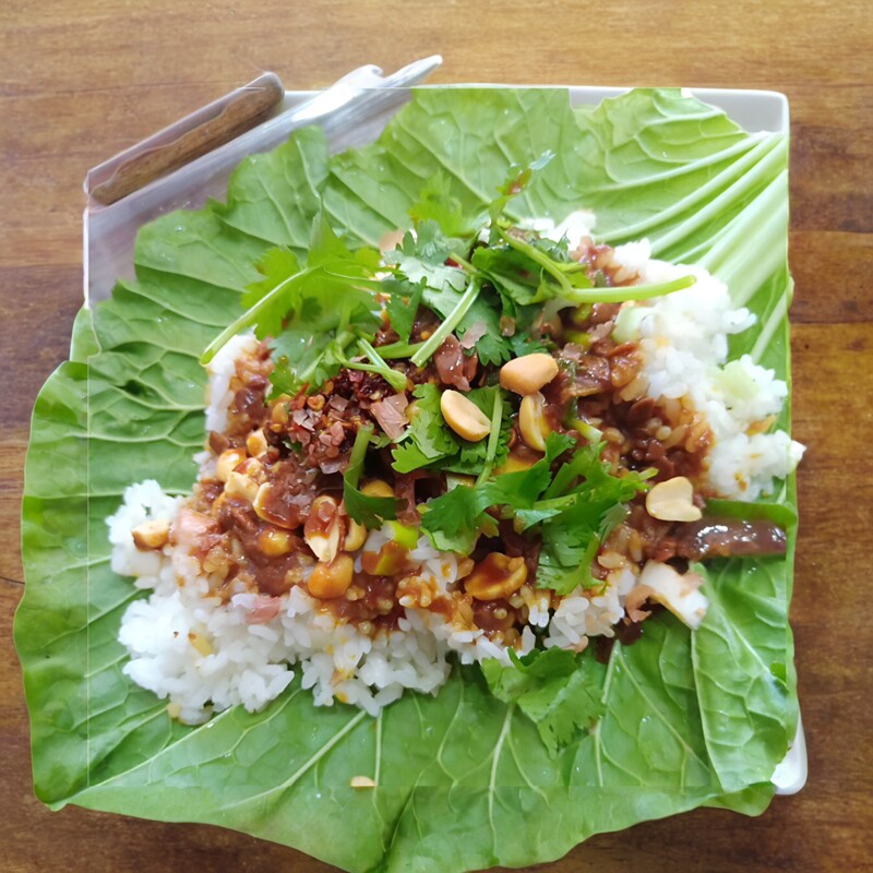 菜叶东北饭包白菜叶打饭包食用包饭60片装饭包店其它