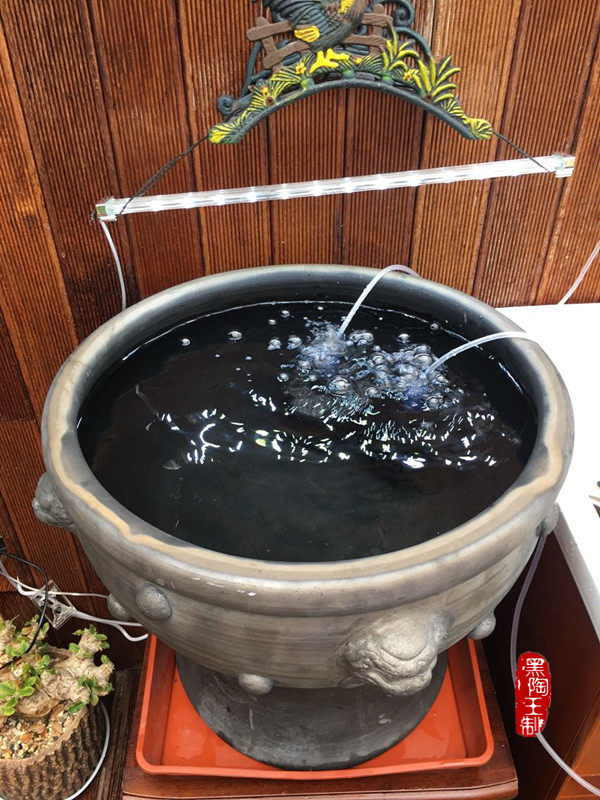 金鱼鱼缸虎头鱼盆50cm瓦盆澄江泥鱼水族箱盆泥鱼缸