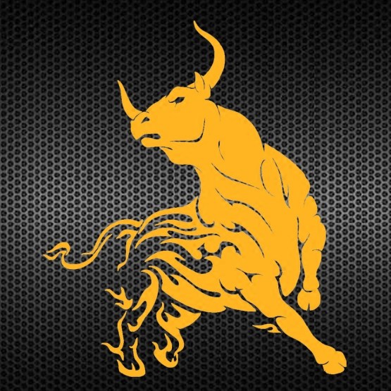 贴画火焰公牛牛气冲天反光防水汽车贴花mpv汽车装饰贴