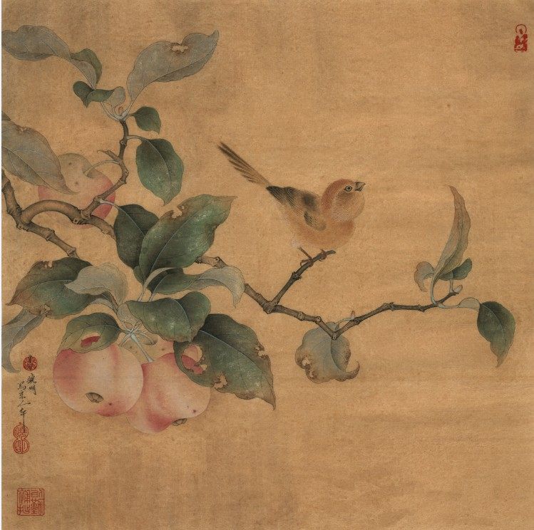 中国古风工笔花鸟彩绘高清精品素材参考402mb设计素材