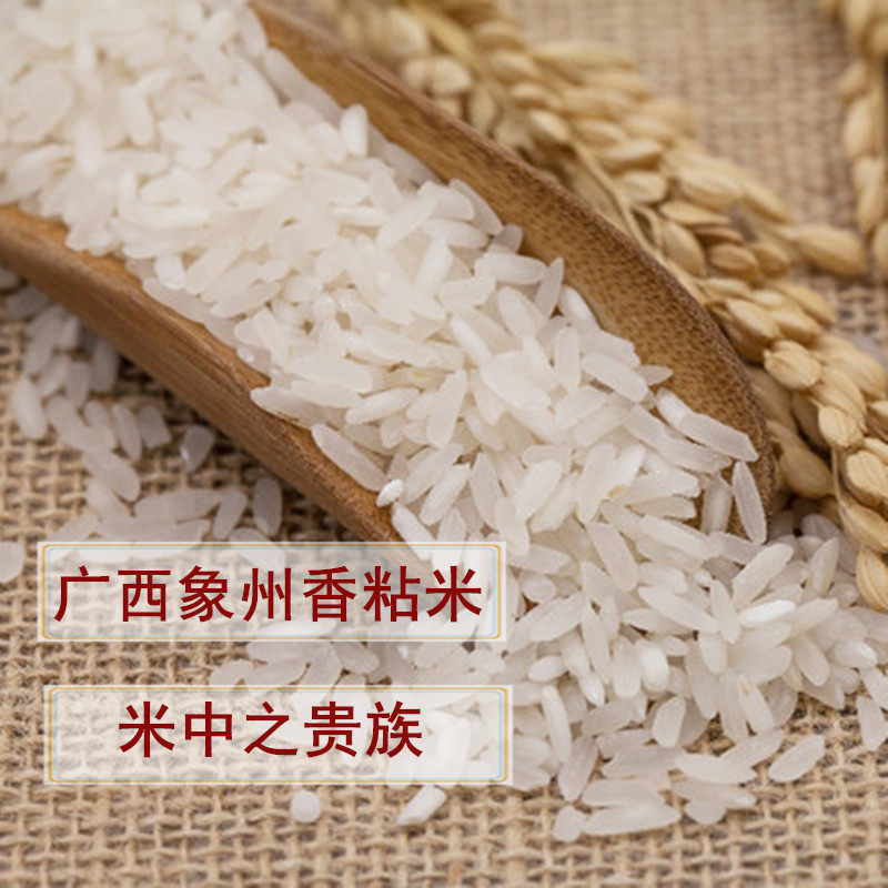 广西象州大米象牙粘长颗粒香油新米节日送礼大米