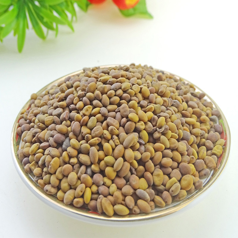 豆子中药材苦马苦豆尿泡马皮可磨500克其他药食同源食品