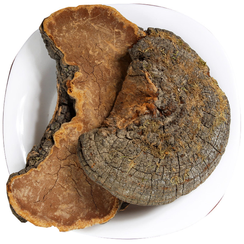 桑黄槐耳怀耳天然纯新新货中药材梅树菇桑耳桑其他药食同源食品