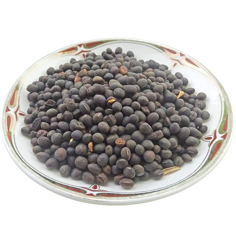 天然野料马料豆零乌稽豆细小小黑料豆纯新新货其他药食同源食品