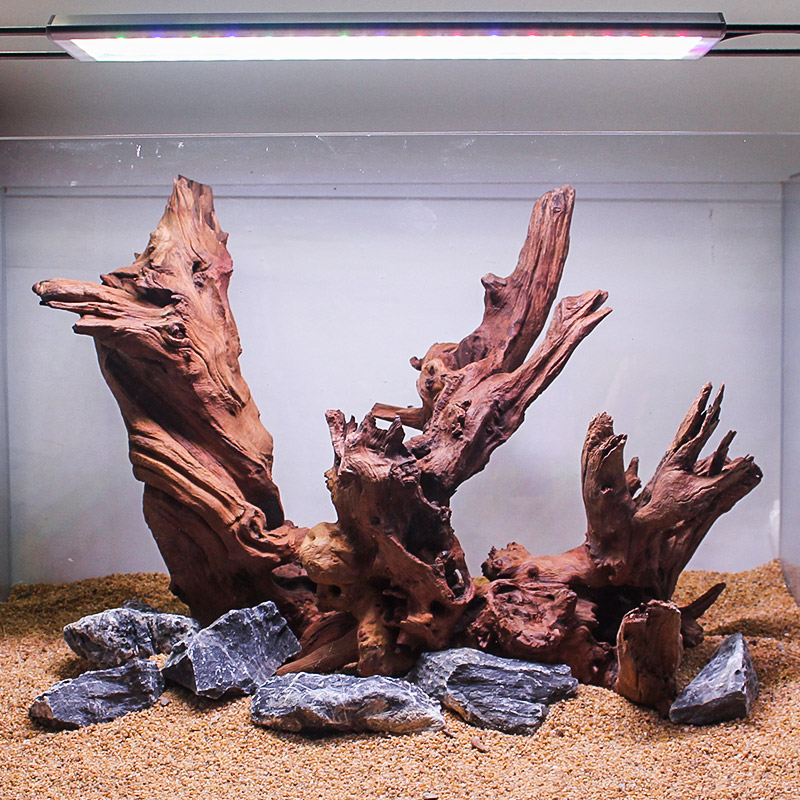 南美风格原生造景木造景石套餐水族箱生态鱼缸造景